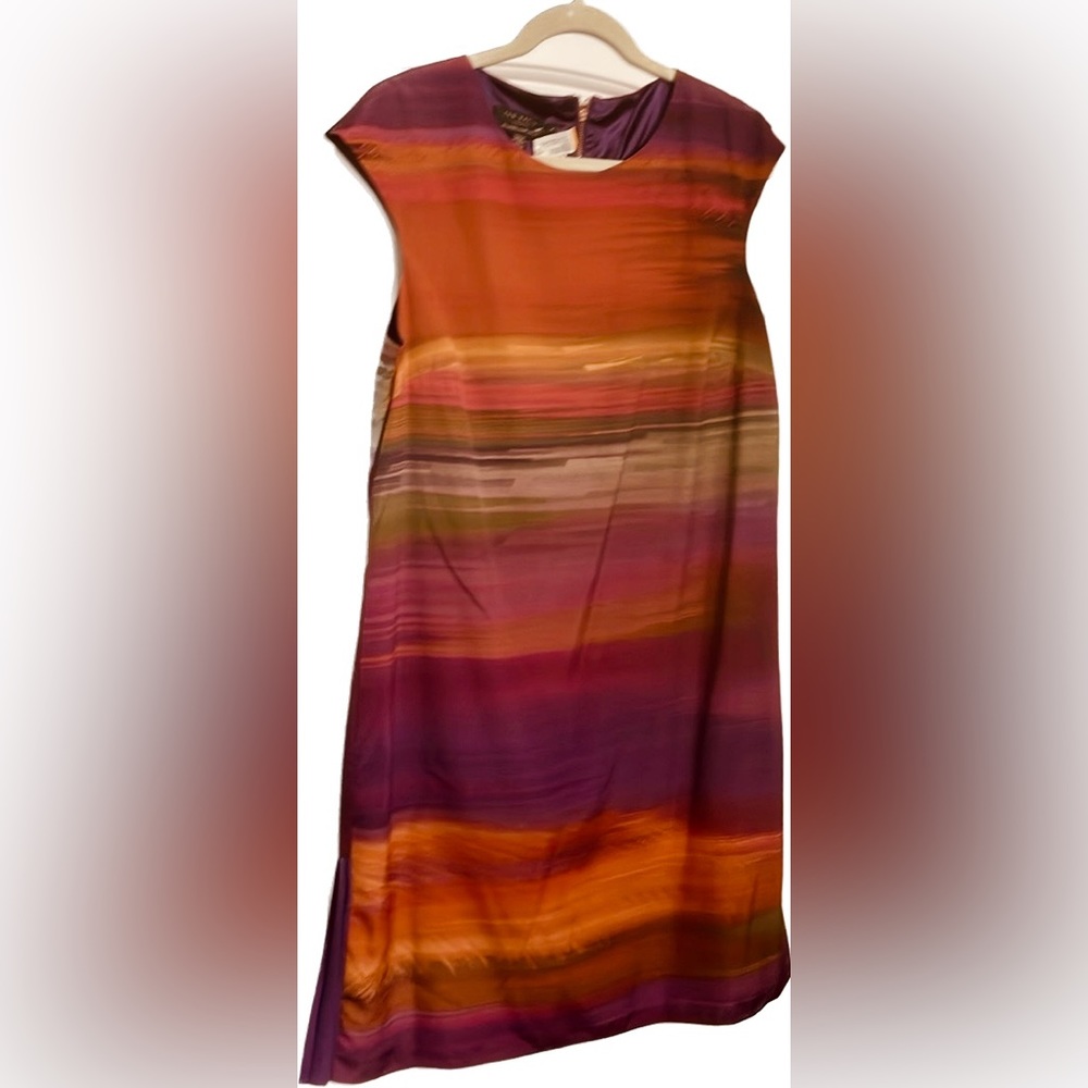 Size 4 (10-12) Ted Baker Dresd